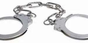 Leg cuff chain 500 long nickel plated - single locking